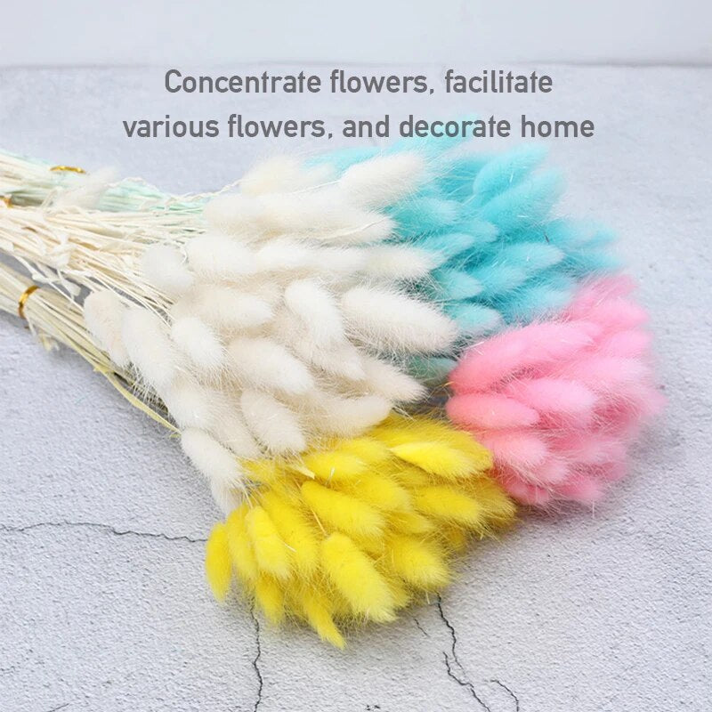 oQ4f30-60pcs-Dried-Flower-Rabbit-Tail-Bouquet-Home-Decor-Natural-Fluffy-Pampas-Floral-Arrangement-Rustic-Wedding.jpg