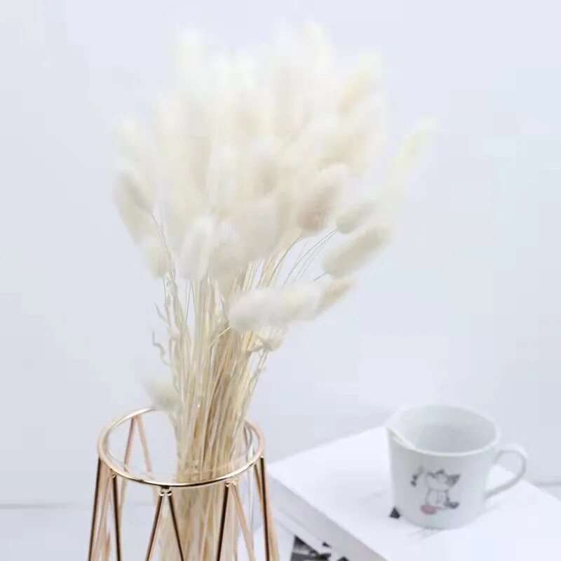 FFkb30-60pcs-Dried-Flower-Rabbit-Tail-Bouquet-Home-Decor-Natural-Fluffy-Pampas-Floral-Arrangement-Rustic-Wedding.jpg