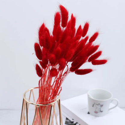 0NJ030-60pcs-Dried-Flower-Rabbit-Tail-Bouquet-Home-Decor-Natural-Fluffy-Pampas-Floral-Arrangement-Rustic-Wedding.jpg
