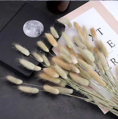 eXZI30-60pcs-Dried-Flower-Rabbit-Tail-Bouquet-Home-Decor-Natural-Fluffy-Pampas-Floral-Arrangement-Rustic-Wedding.jpg
