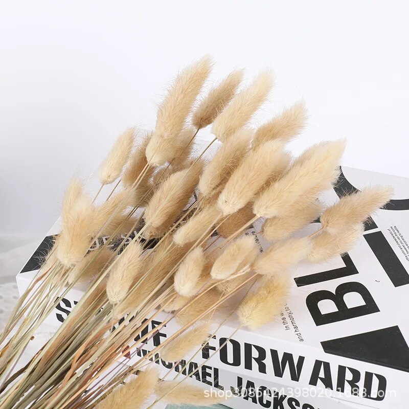 AXI730-60pcs-Dried-Flower-Rabbit-Tail-Bouquet-Home-Decor-Natural-Fluffy-Pampas-Floral-Arrangement-Rustic-Wedding.jpg