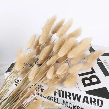 AXI730-60pcs-Dried-Flower-Rabbit-Tail-Bouquet-Home-Decor-Natural-Fluffy-Pampas-Floral-Arrangement-Rustic-Wedding.jpg