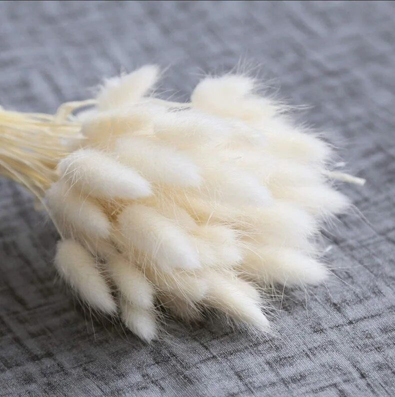 DGY630-60pcs-Dried-Flower-Rabbit-Tail-Bouquet-Home-Decor-Natural-Fluffy-Pampas-Floral-Arrangement-Rustic-Wedding.jpg