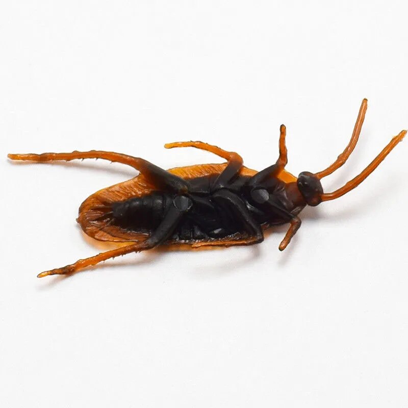 ECNMArtificial-Fake-Roaches-Novelty-Cockroach-trick-Prop-Scary-Insects-Realistic-Plastic-Bugs-Funny-Halloween-Party-Spoof.jpg