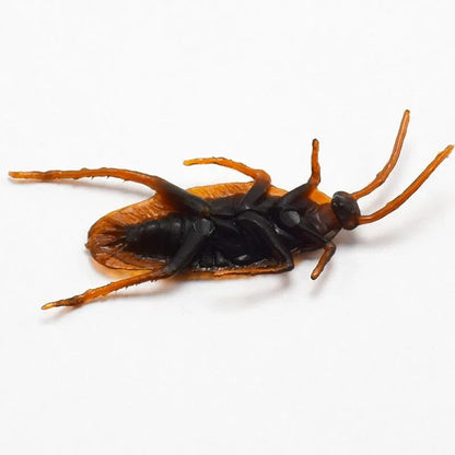 ECNMArtificial-Fake-Roaches-Novelty-Cockroach-trick-Prop-Scary-Insects-Realistic-Plastic-Bugs-Funny-Halloween-Party-Spoof.jpg
