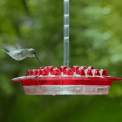 Hummingbird Feeder 2