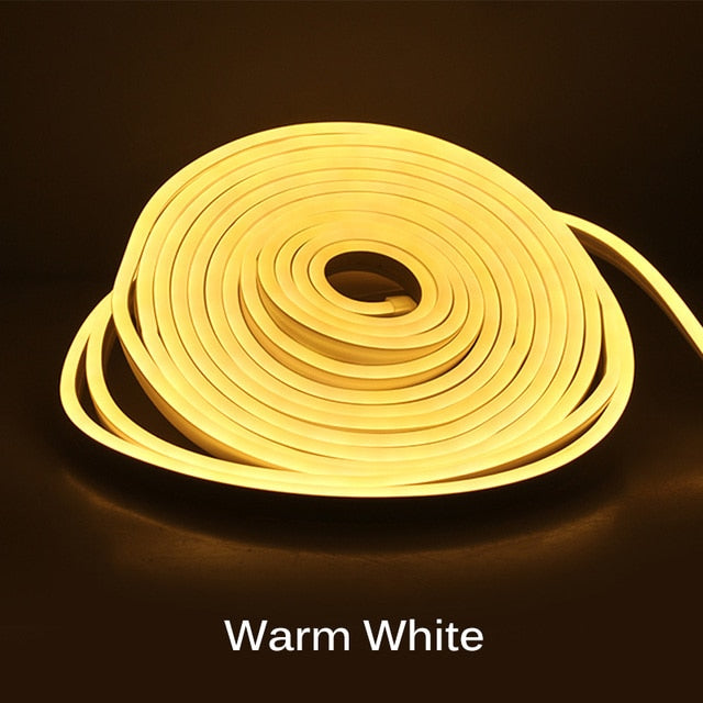 BpgkNeon-LED-Light-Strip-Flexible-Silicone-Set-5M-600-Lights-Embedded-Linear-Waterproof-Light-Tape-for.jpg