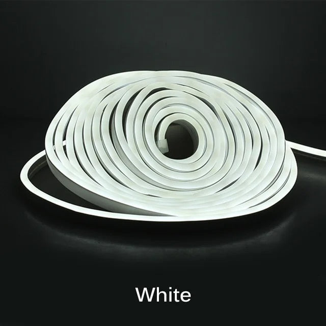 JwAFNeon-LED-Light-Strip-Flexible-Silicone-Set-5M-600-Lights-Embedded-Linear-Waterproof-Light-Tape-for.jpg