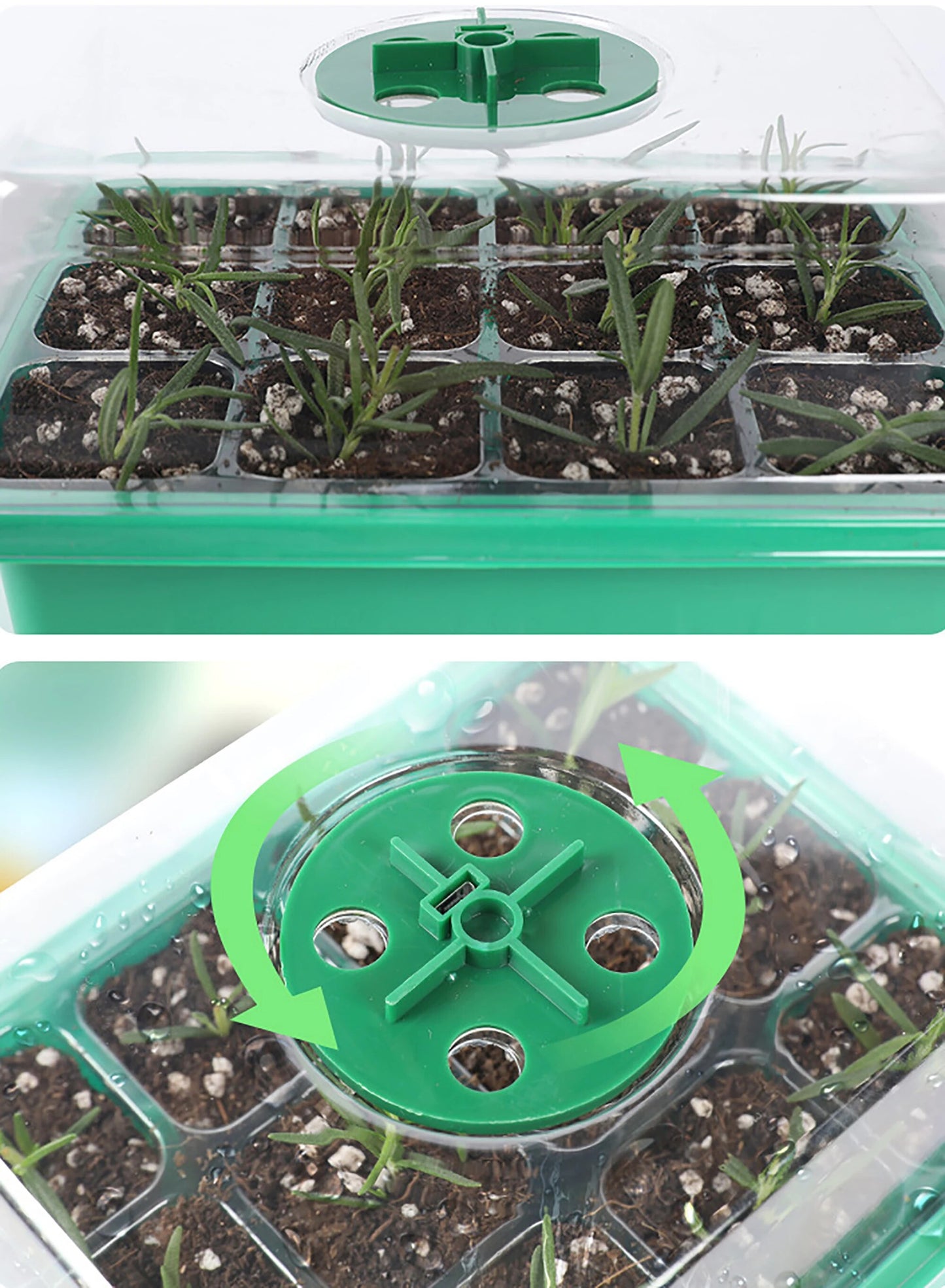 rKR7Seed-Starter-Tray-Box-With-LED-Grow-Light-Nursery-Pot-Seedling-Germination-Planter-Adjustable-Ventilation-Humidity.jpg