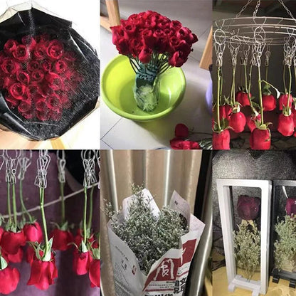 wGQtDried-Flower-Frame-Storage-Box-Transparent-Dried-Flower-Display-Picture-Frame-Bracelet-Jewelry-Storage-Case-Home.jpg