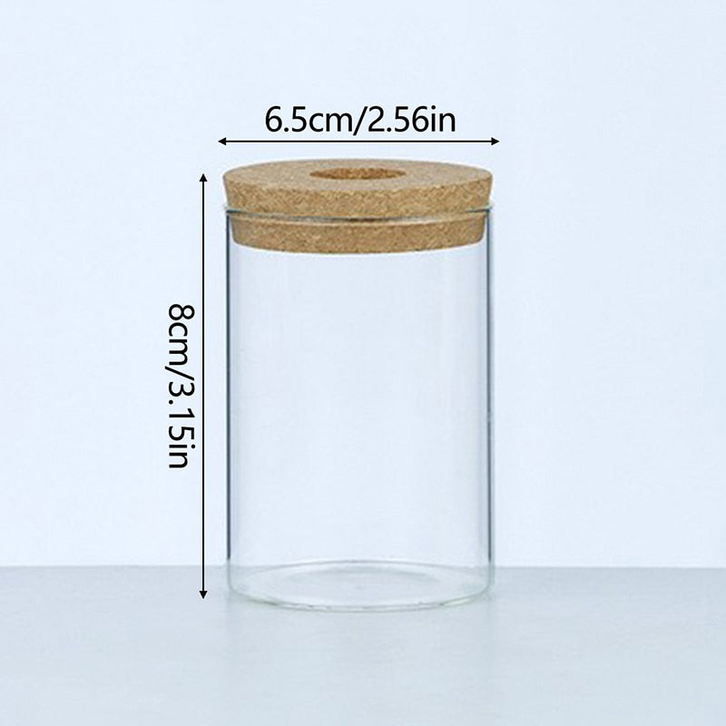 pAiiHydroponic-Plant-Home-Vase-Decor-Transparent-Hydroponic-Flower-Pot-Soilless-Plant-Pots-Office-Desktop-Green-Plants.jpg