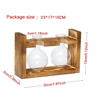 O9UzAvocadoSeedStarterVaseTransparentGlassVaseVaseforGrowingPlantGlassSeedGrowingKitf