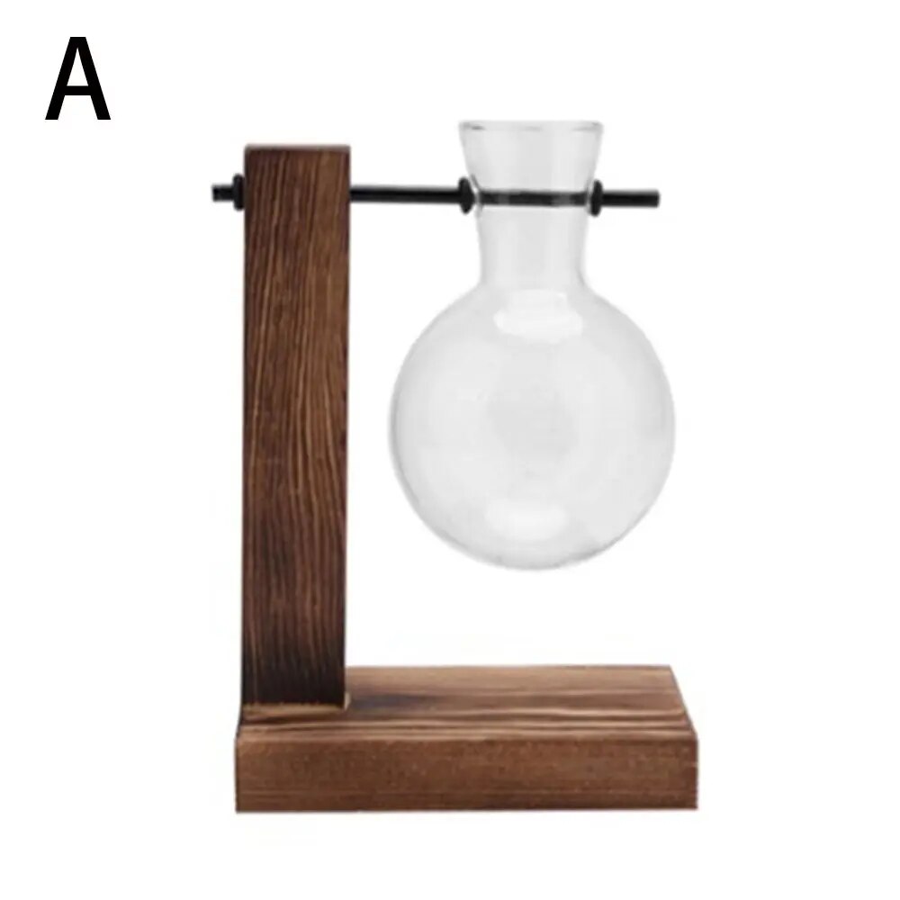 2C1jAvocadoSeedStarterVaseTransparentGlassVaseVaseforGrowingPlantGlassSeedGrowingKitf