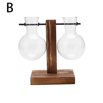 5A9xAvocadoSeedStarterVaseTransparentGlassVaseVaseforGrowingPlantGlassSeedGrowingKitf