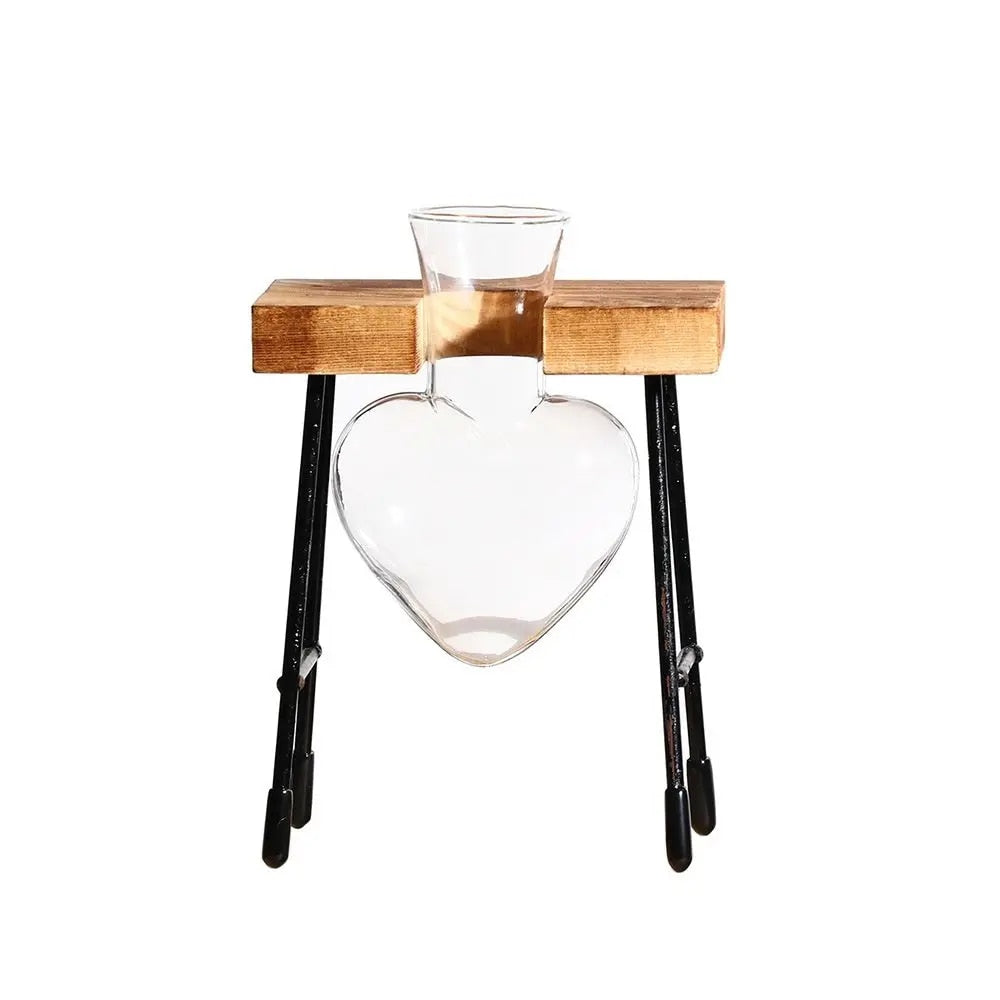 HNRZAvocadoSeedStarterVaseTransparentGlassVaseVaseforGrowingPlantGlassSeedGrowingKitf