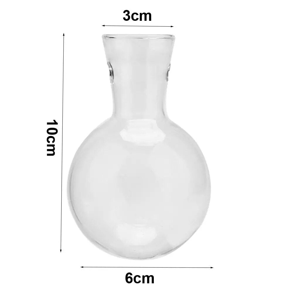 6I8MAvocadoSeedStarterVaseTransparentGlassVaseVaseforGrowingPlantGlassSeedGrowingKitf