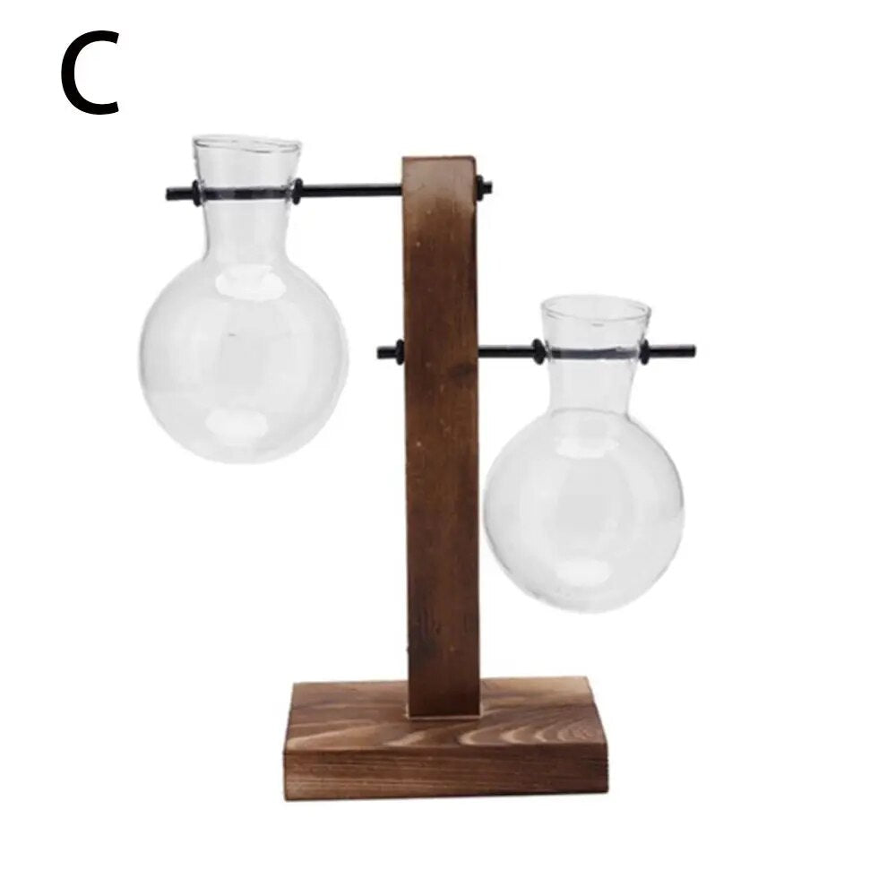 YirJAvocadoSeedStarterVaseTransparentGlassVaseVaseforGrowingPlantGlassSeedGrowingKitf