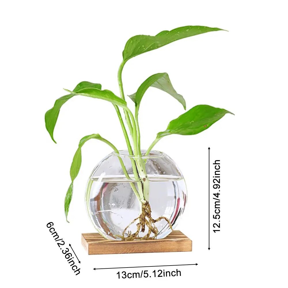 0hL3AvocadoSeedStarterVaseTransparentGlassVaseVaseforGrowingPlantGlassSeedGrowingKitf