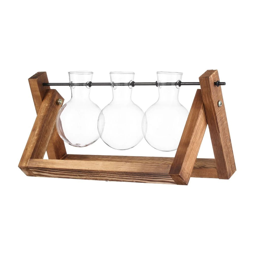 qLxaAvocadoSeedStarterVaseTransparentGlassVaseVaseforGrowingPlantGlassSeedGrowingKitf
