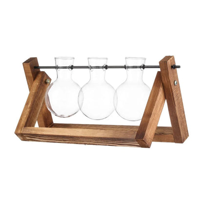 qLxaAvocadoSeedStarterVaseTransparentGlassVaseVaseforGrowingPlantGlassSeedGrowingKitf