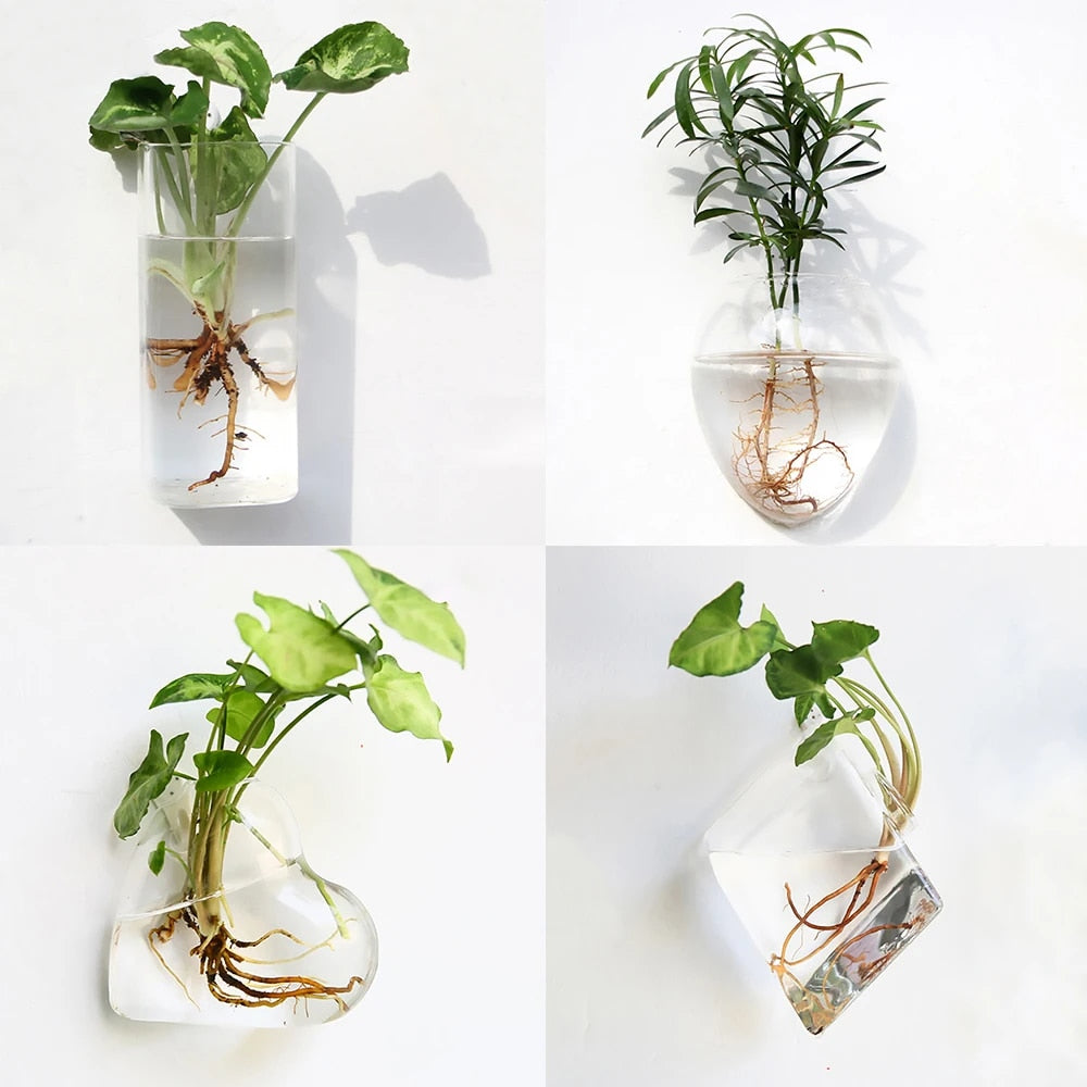 iexaFashionWallHangingGlassFlowerVaseTerrariumWallFishTankAquariumContainerFlowerPlante
