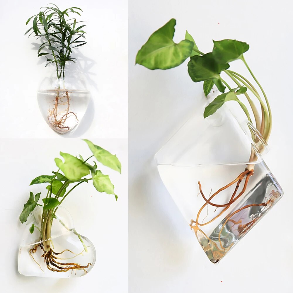 ODalFashionWallHangingGlassFlowerVaseTerrariumWallFishTankAquariumContainerFlowerPlante