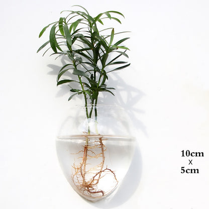 zQmzFashionWallHangingGlassFlowerVaseTerrariumWallFishTankAquariumContainerFlowerPlante