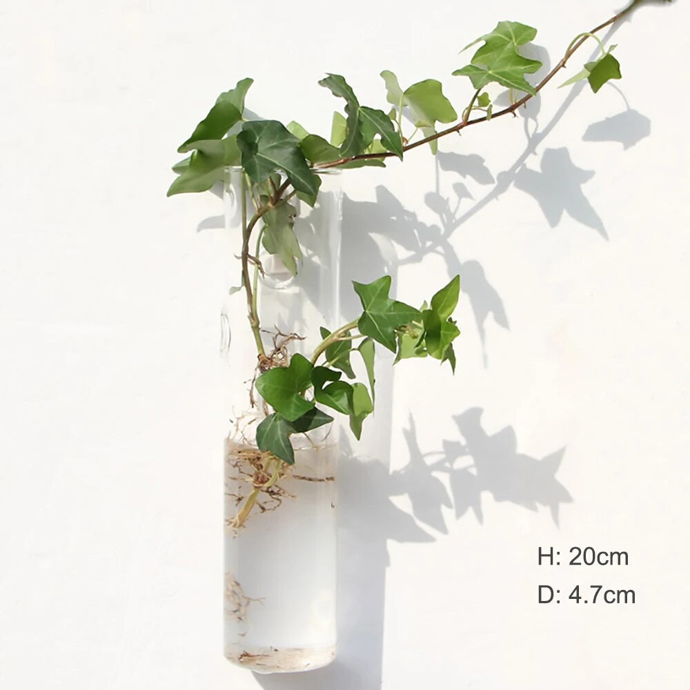 hZGHFashionWallHangingGlassFlowerVaseTerrariumWallFishTankAquariumContainerFlowerPlante