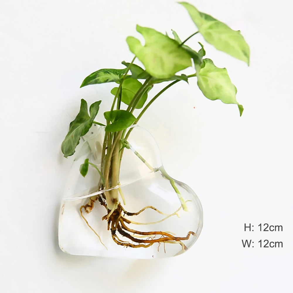 trUpFashionWallHangingGlassFlowerVaseTerrariumWallFishTankAquariumContainerFlowerPlante
