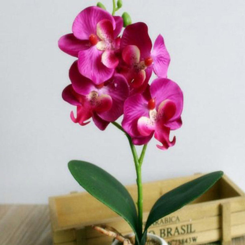 pq3DCreative-Flowers-Fancy-Four-Butterfly-Orchid-Meaty-Plant-Bonsai-Flower-Arranging-Accessories-SP99.jpg
