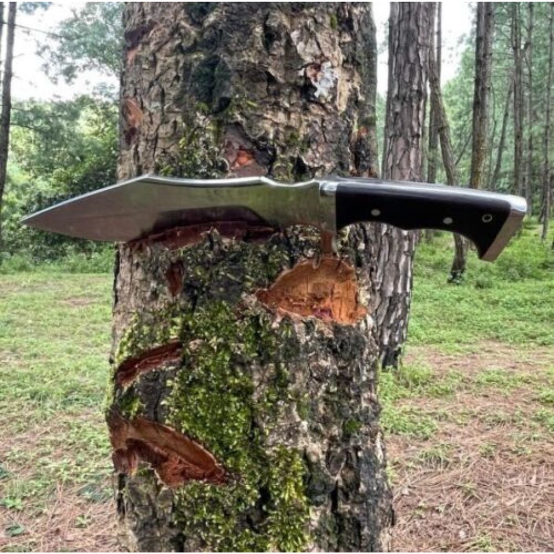 Fixed Blade Custom Handmade Bowie Knife Full Tang Handle Hunting Survival Knife Gift For Him Special