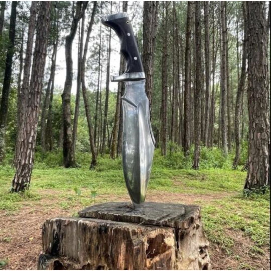 Fixed Blade Custom Handmade Bowie Knife Full Tang Handle Hunting Survival Knife Gift For Him Special