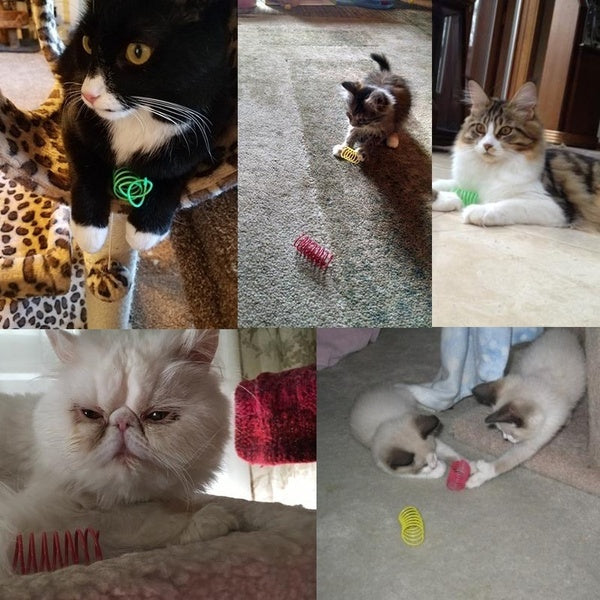 ImcYKitten-Coil-Spiral-Springs-Cat-Toys-Interactive-Gauge-Cat-Spring-Toy-Colorful-Springs-Cat-Pet-Toy.jpg