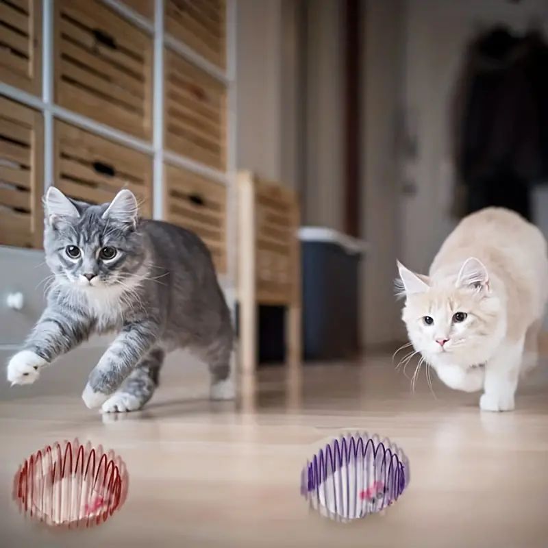 1fZMCat-Toy-Balls-Funny-Stretchable-Kitten-Springs-Toys-Interactive-Caged-Rats-Rolling-Cat-Balls-Random-Color.jpg