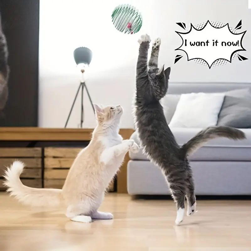 vMGzCat-Toy-Balls-Funny-Stretchable-Kitten-Springs-Toys-Interactive-Caged-Rats-Rolling-Cat-Balls-Random-Color.jpg