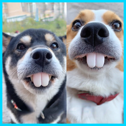 S1QSFalse-Teeth-For-Dog-Funny-Dentures-Pet-Decorating-Supplies-Halloween-Cosplay-Humans-And-Vampires-Toys-Tricky.jpg