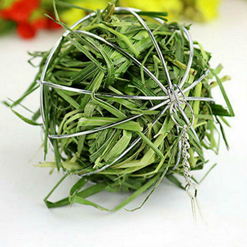 KbZyStainless-Steel-Round-Sphere-Feed-Dispense-Exercise-Hanging-Hay-Ball-Guinea-Pig-Hamster-Rabbit-Electroplating-Grass.jpg