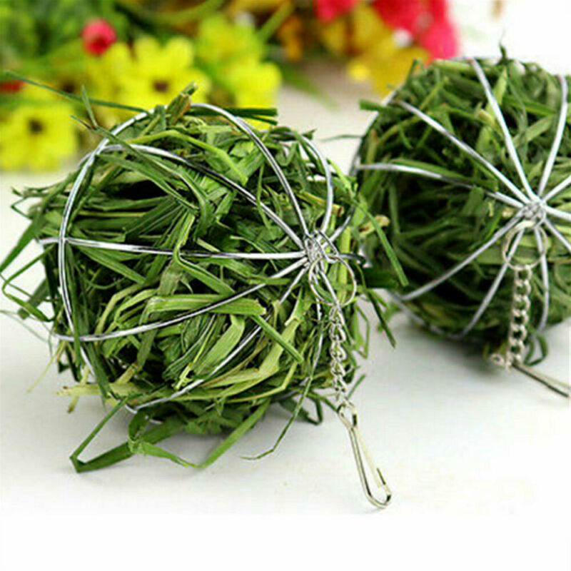 F5OyStainless-Steel-Round-Sphere-Feed-Dispense-Exercise-Hanging-Hay-Ball-Guinea-Pig-Hamster-Rabbit-Electroplating-Grass.jpg
