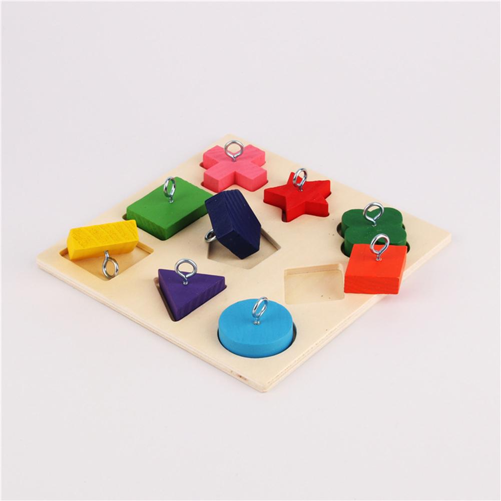 gPqxParrotIqTrainingToys9GridColorfulWoodenBlockSafeTastelessPetEducationalToysBirdTo