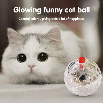 rsib1-3pcs-Interactive-Ball-Toy-Flash-Paranormal-Equipment-Pet-Hunting-Flash-Motion-Balls-Pet-Toy-Light.jpg