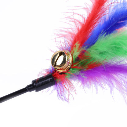 2ZQd5pcs-Funny-Kitten-Cat-Teaser-Interactive-Toy-Rod-with-Bell-and-Feather-Toys-For-Pet-Cats.jpg