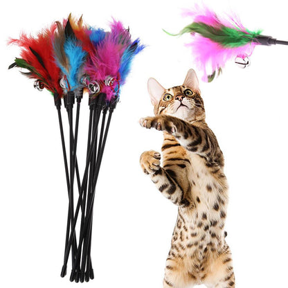 8mdF5pcs-Funny-Kitten-Cat-Teaser-Interactive-Toy-Rod-with-Bell-and-Feather-Toys-For-Pet-Cats.jpg