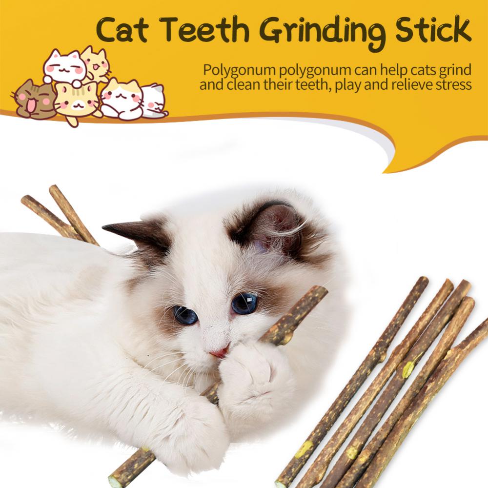 fsi1CatMolarStickCleaningTeethNaturalCatnipPetCatMolarToothpasteStickCatSnacksSticksP