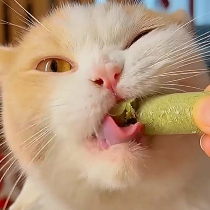 f1jD367A-Professional-Cat-Kitten-Teeth-Grinding-Grass-Rod-Toy-Pet-Natural-Stick-Dried-Natural-Cat-Grass.jpg
