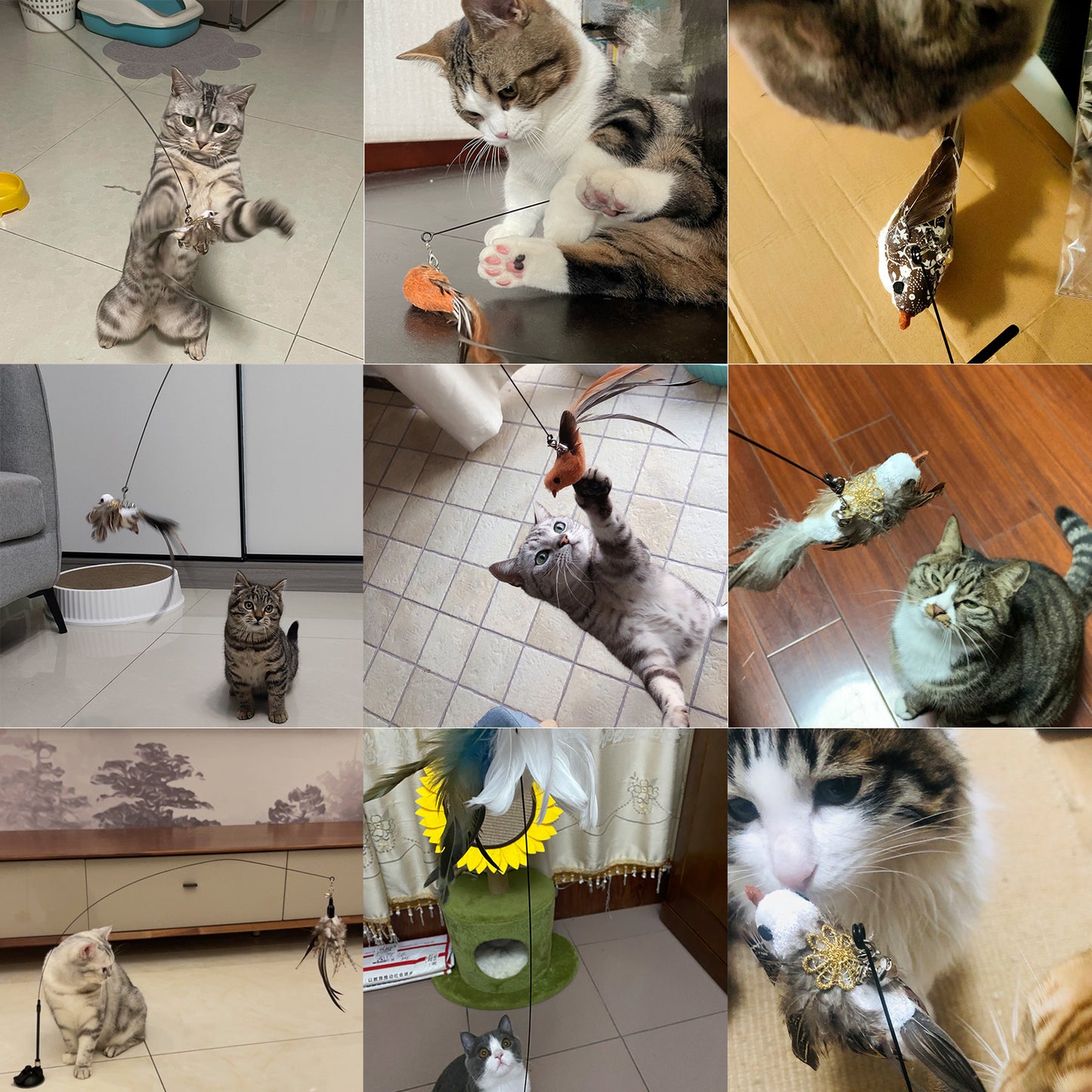az6oHandfree-Bird-Feather-Cat-Wand-with-Bell-Powerful-Suction-Cup-Interactive-Toys-for-Cats-Kitten-Hunting.jpg