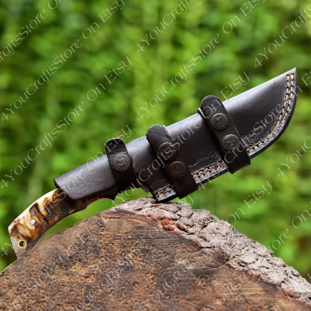 image_picker_21EDA176-852D-4910-A7F3-58993A2AE720-30207-00000B5B1830B4C9.jpg