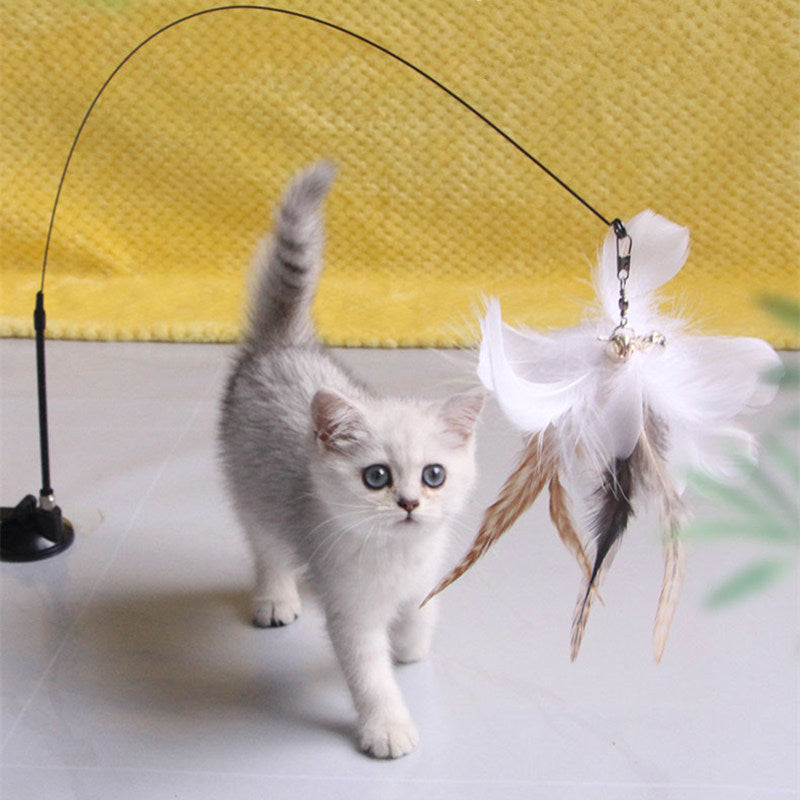 Interactive Cat Toy: Feather Teaser for Endless Fun & Bite-Resistant Play | Pet Supplies
