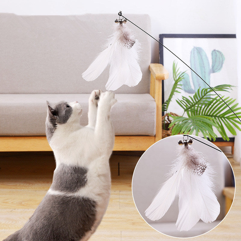 U25DCat-Toy-Funny-Cat-Toys-Interactive-Self-Hi-Feather-Toys-for-Cats-Tease-Bite-Resistant-Cats.jpg