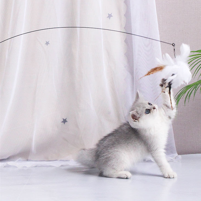 mZOACat-Toy-Funny-Cat-Toys-Interactive-Self-Hi-Feather-Toys-for-Cats-Tease-Bite-Resistant-Cats.jpg