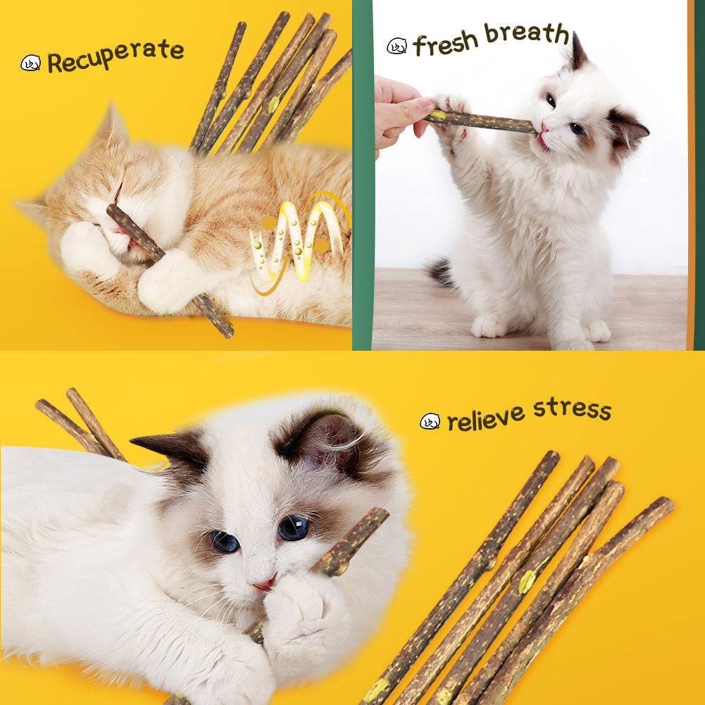 wG5i50-5PCS-Catnip-Stick-Pet-Cat-Molar-Toys-Natural-Wood-Polygonum-Sticks-Cleaning-Teeth-Relieve-Boredom.jpg